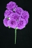 Lavender Open Rose Bush x9  (Lot of 12) SALE ITEM